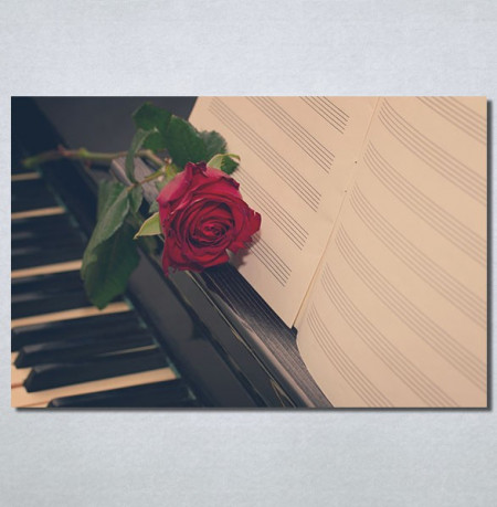 Slike na platnu Crvena ruža i klavir Nina30228_P