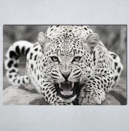 Slike na platnu Leopard Nina123_P