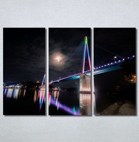 Slike na platnu Most Nina30279_3