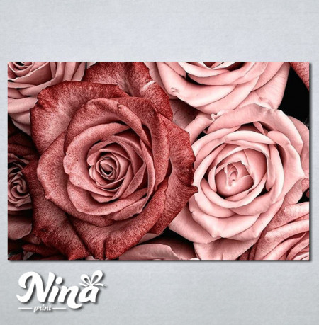Slike na platnu Slika ruza Nina412_P