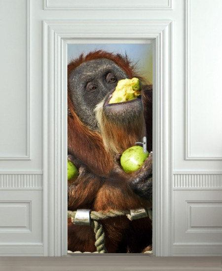 Nalepnica za vrata Majmun i voće 6008