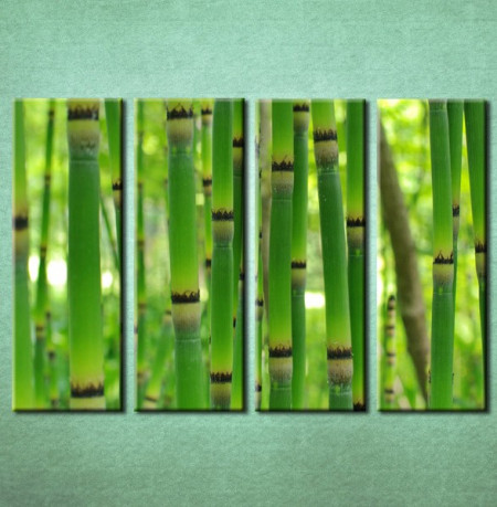 Slike na platnu Bambus Nina3093_4