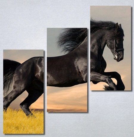 Slike na platnu Black horse Nina30296_3 - Img 2