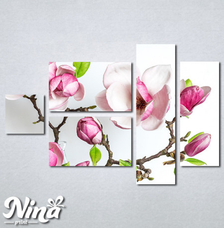 Slike na platnu Cvet magnolije Nina339_5 - Img 3