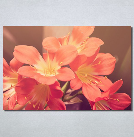 Slike na platnu Cvet u proleće Nina30193_P