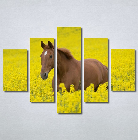 Slike na platnu Konj na žutoj poljani Nina30264_5