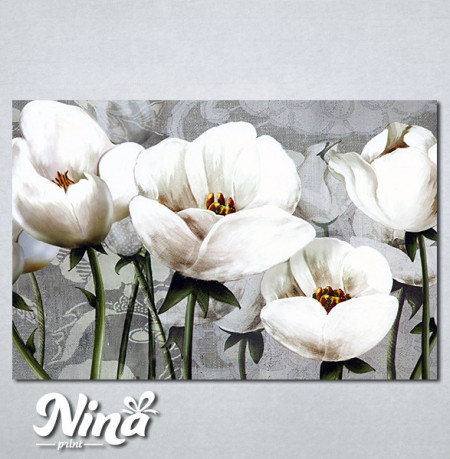 Slike na platnu Nezno beli cvet Nina347_P