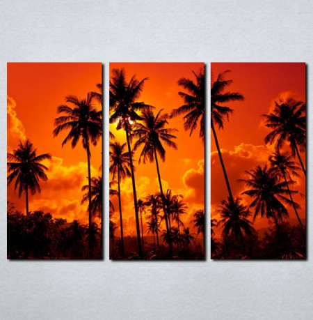 Slike na platnu Palme i zalazak sunca Nina062_3