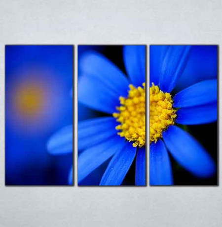 Slike na platnu Plavi cvet Nina095_3