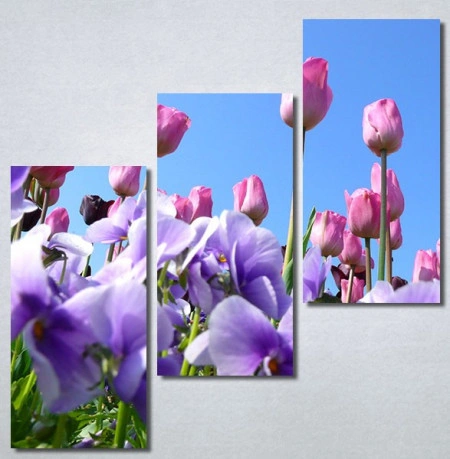 Slike na platnu Purple Flowers Nina30293_3 - Img 2