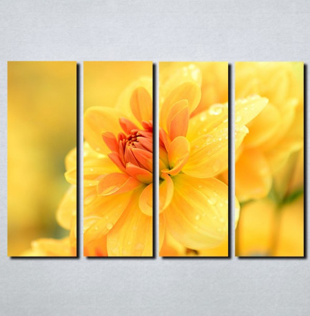 Slike na platnu Žuto cveće Nina111_4