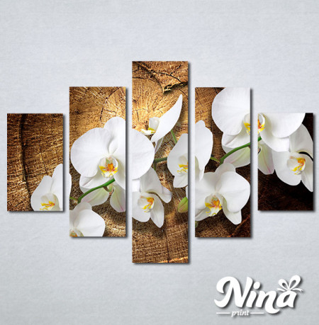 Slike na platnu Bele orhideje Nina323_5