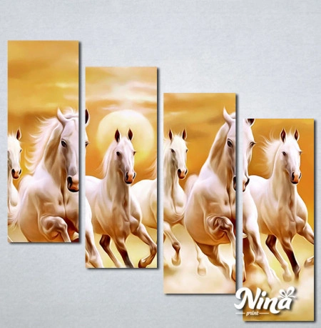 Slike na platnu Beli konji Nina432_4 - Img 3