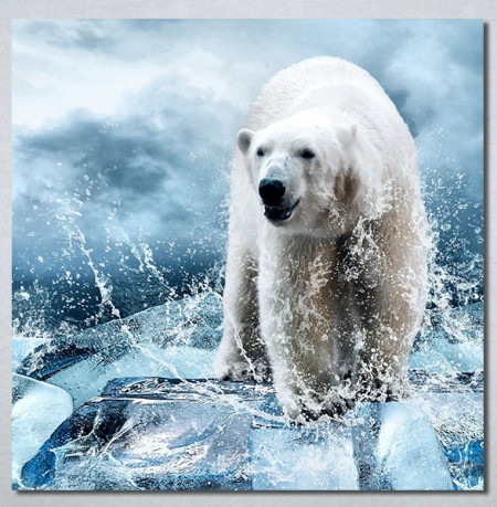 Slike na platnu Beli medved Nina30272