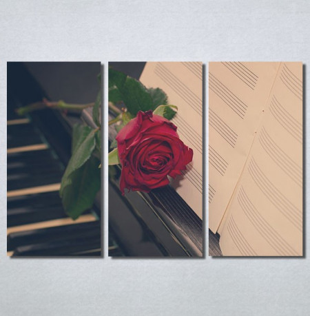 Slike na platnu Crvena ruža i klavir Nina30228_3