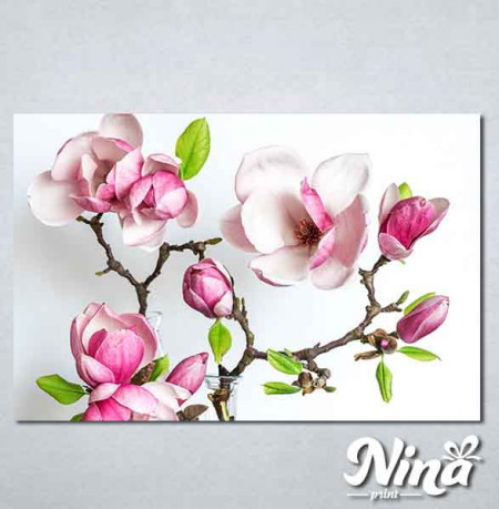 Slike na platnu Cvet magnolije Nina339_P