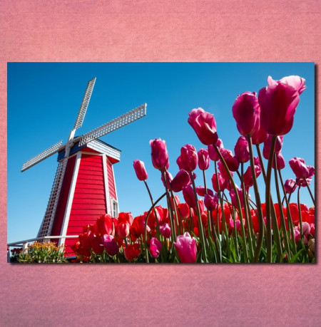 Slike na platnu Holandija Nina30106 _P