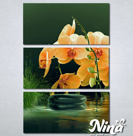 Slike na platnu Narandzasta orhideja Nina357_3 - Img 3
