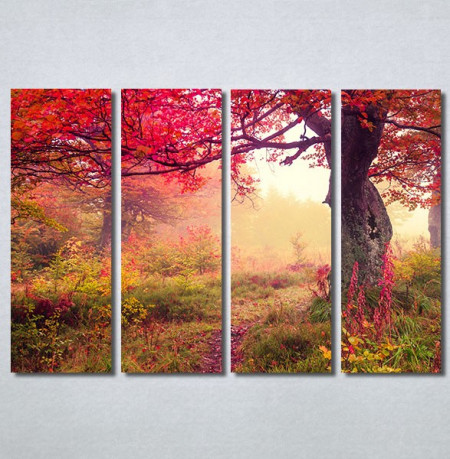 Slike na platnu Prelepa jesen u šumi Nina30244_4