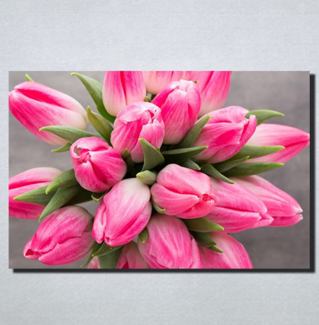 Slike na platnu Roze Tulipani Nina159_P