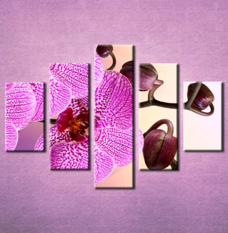 Slika na platnu Orhideja 3021_5