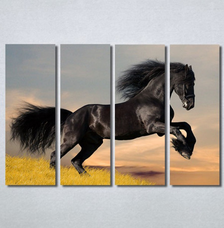 Slike na platnu Black horse Nina30296_4