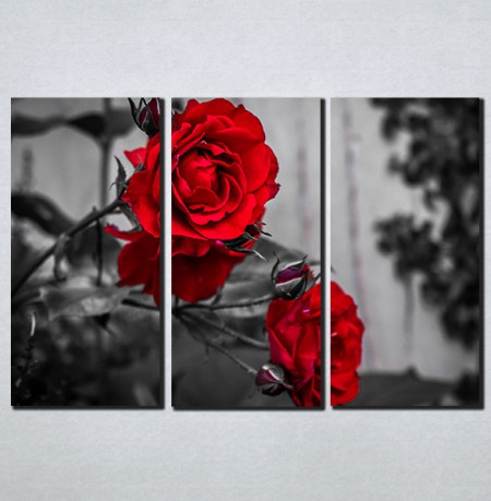Slike na platnu Crvene ruže Nina098_3