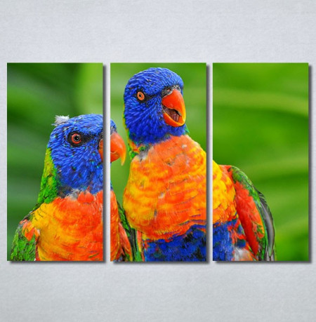 Slike na platnu Dva papagaja Nina 30313_3