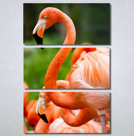 Slike na platnu Flamingo ptica Nina30256_3 - Img 3