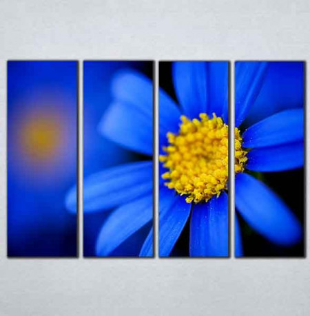 Slike na platnu Plavi cvet Nina095_4