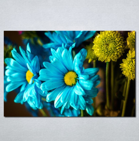 Slike na platnu Plavo i žuto cveće Nina075_P