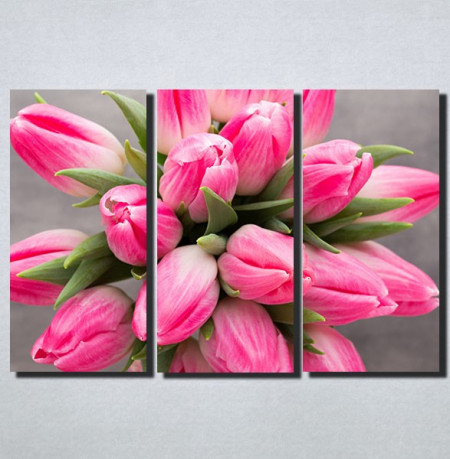 Slike na platnu Roze Tulipani Nina159_3