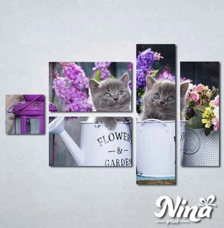 Slike na platnu Sive mačke Nina311_5 - Img 2