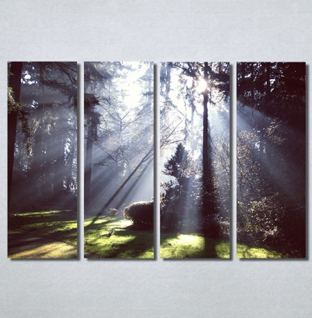 Slike na platnu Svetlost u šumi Nina30180_4