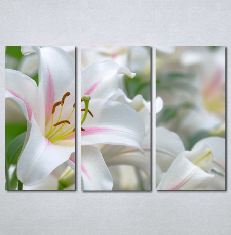 Slike na platnu Veliki beli cvet Nina130_3