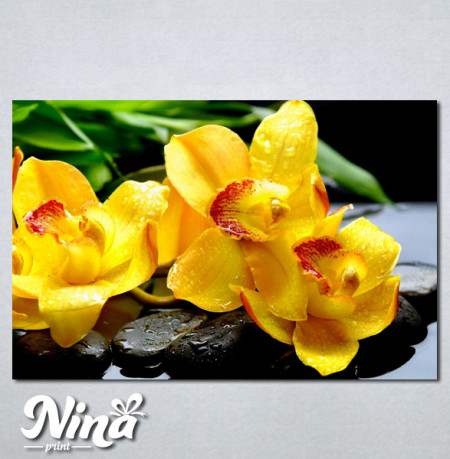 Slike na platnu Žuta orhideja Nina252_P