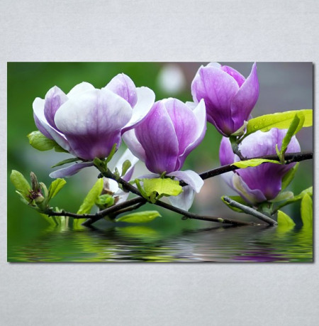 Slika na platnu Ljubičasta magnolija Nina3097_P