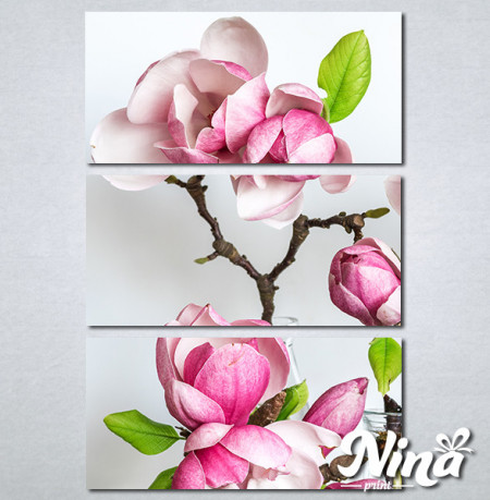 Slike na platnu Cvet magnolije Nina339_3 - Img 3