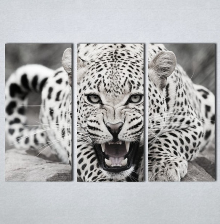 Slike na platnu Leopard Nina123_3