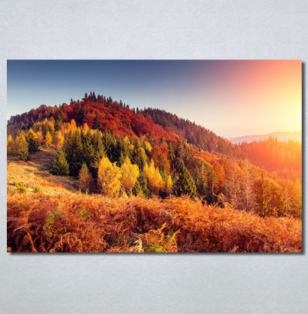 Slike na platnu Planinske jesenje boje Nina30222_P