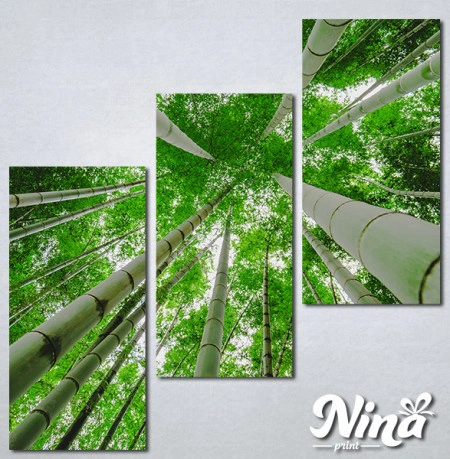 Slike na platnu Suma bambusa Nina329_3 - Img 3