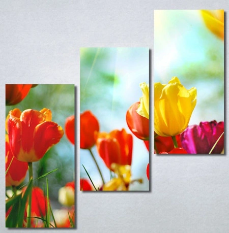 Slike na platnu Tulips 30325_3 - Img 2
