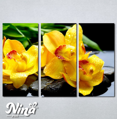Slike na platnu Žuta orhideja Nina252_3