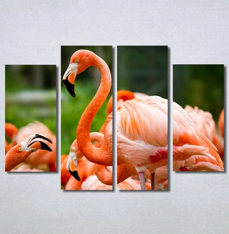 Slike na platnu Flamingo ptica Nina30256_4 - Img 2