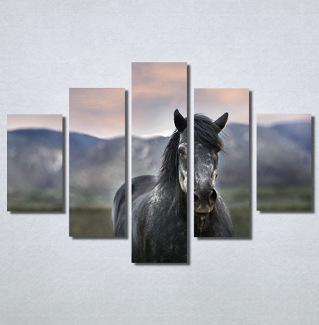 Slike na platnu Konj na poljani Nina30205_5