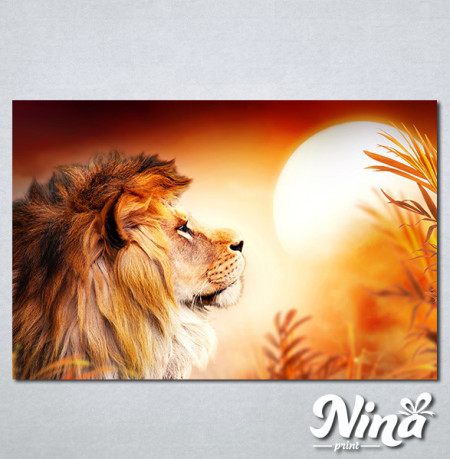 Slike na platnu Lav kralj životinja Nina308_P