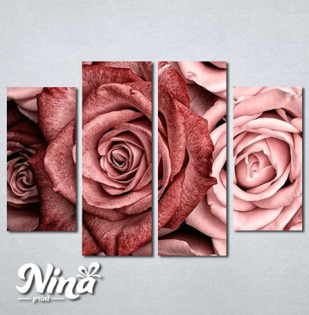 Slike na platnu Slike ruze Nina412_4