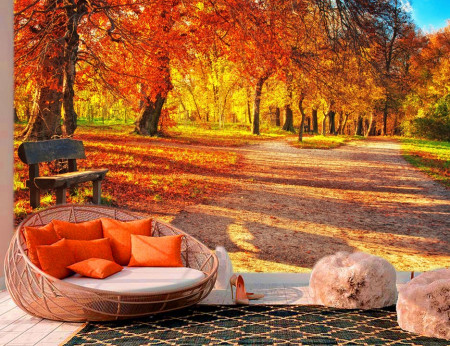 Foto tapeta Jesenje boje u šumi Tapet031