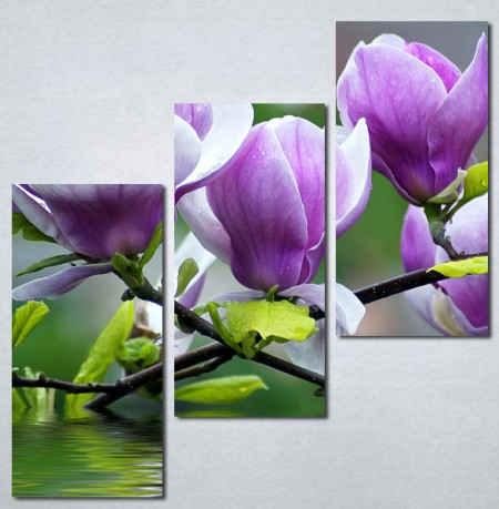 Slika na platnu Ljubičasta magnolija Nina3097_3 - Img 2