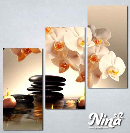 Slike na platnu Bela orhideja Nina225_3 - Img 2